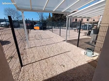 studio 1 pièce 24 m²