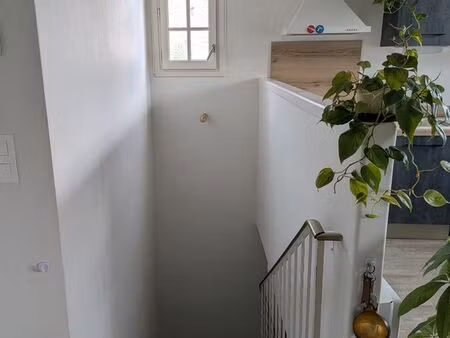 location maison individuelle