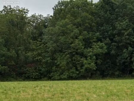 terrain constructible 3000 m²