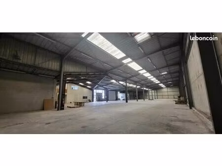 local 1600 m² vannes