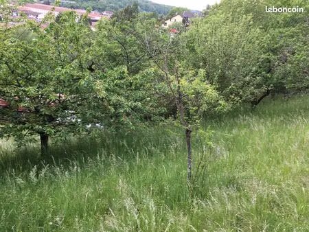 jardin  bâtiments  verger  1900 m2 bar le duc
