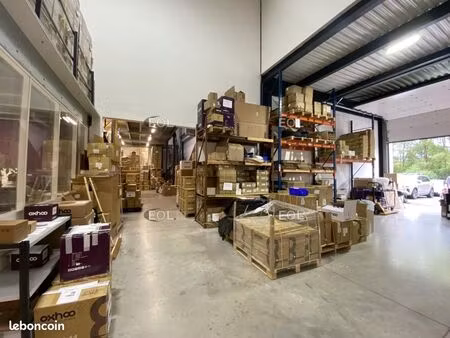 local d'activité 872 m²