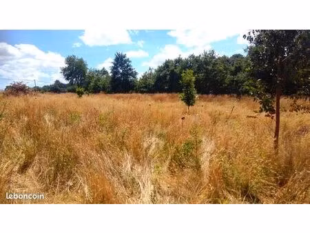 terrain agricole en brocéliande