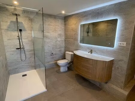location maison individuelle petite rosselle