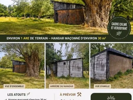 terrain agricole avec hangar
