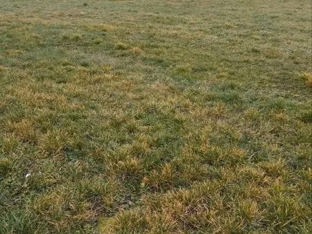 terrain à bâtir