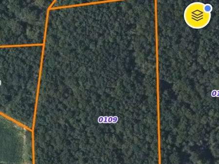 terrain boisé a vendre