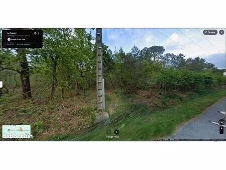 location 5000m2 foret bois taillis le courtet commequier