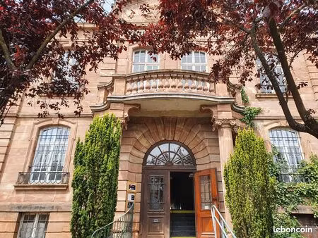 bureaux 250 m² freyming-merlebach
