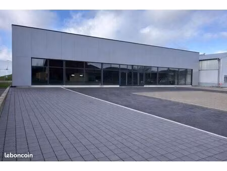 local commercial 368 m² sarreguemines