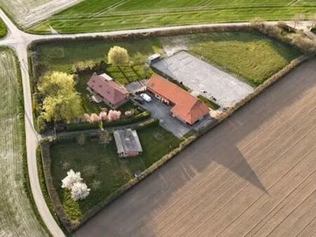 exclusivité jcl immobilier killem  à 15mn de bergues : corps de ferme cpt maison d'habitat
