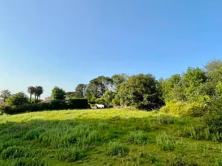 vente terrain 3379 m² à arbonne (64210)  795 000 €