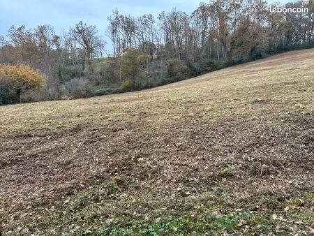 terrain agricole