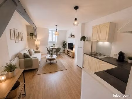 joli t2 de 50 m2 rénové