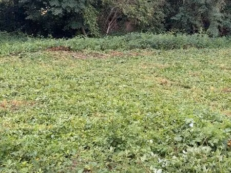 terrain constructible arcizac adour