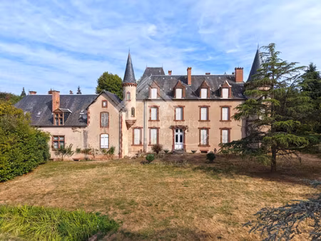 château avec 30ha - allier