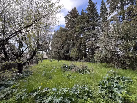vente terrain à batir 893 m² à connaux (30330)  95 000 €