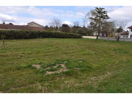 vente terrain à batir 1087 m² à montmerle-sur-saone (01090)  160 000 €