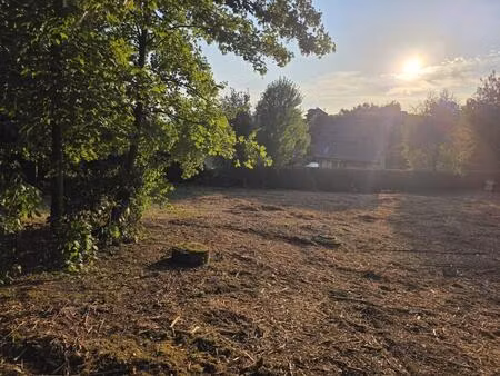 terrain constructible