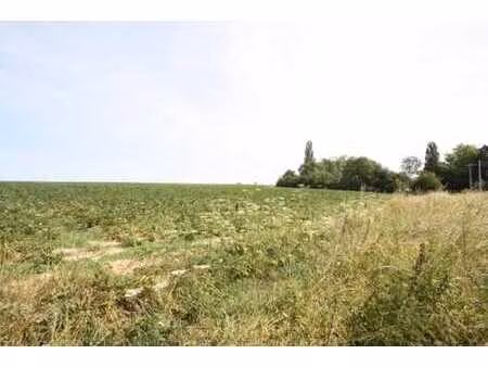 au grand calme  en bordure des campagnes  très beau terrain