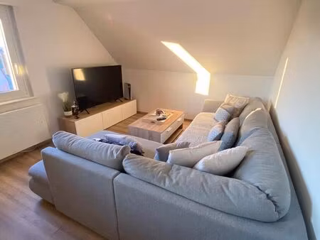 andolsheim – bel appartement 3 pièces de 78 m² – lumineux – cuisine équipée – cave – 730 c