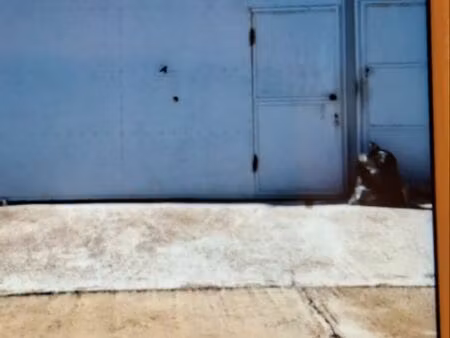 hangar