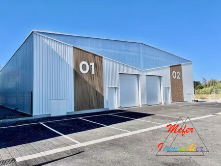 immobilier professionnel à louer perpignan