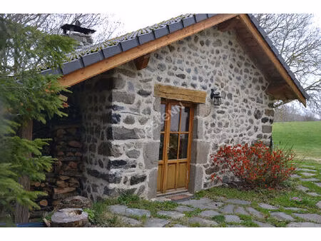maison meublée avec mezzanine 1 pièce(s)  petit extérieur à 5 min yssingeaux