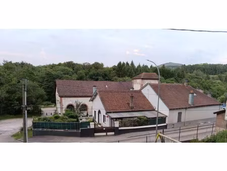 vente maison 10 pièces 147 m² senones (88210)
