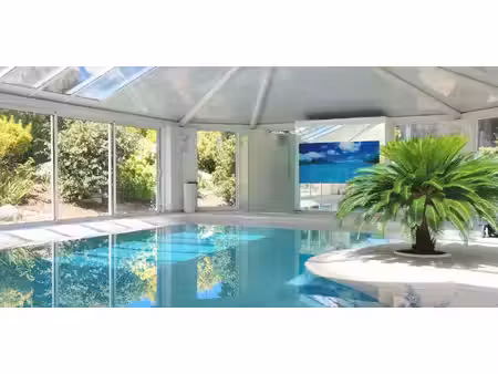 villa avec piscine et jardin nernier (74)