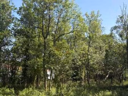 vente terrain à challans (85300) : à vendre / challans