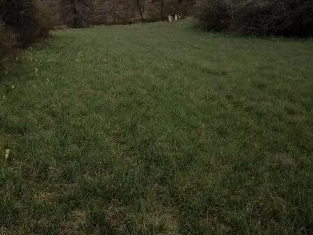 location terrain paturage de 3000 m2 + abri