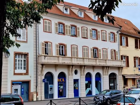 spacieux 3 pièces selestat centre