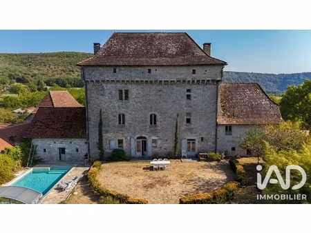 vente château 11 pièces