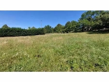 terrain constructible