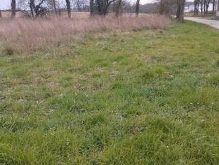 vente terrain à kerfourn (56920) : à vendre / kerfourn