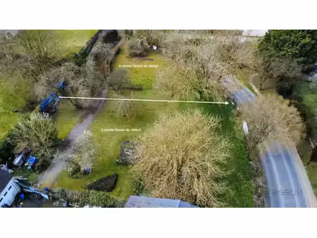 terrain