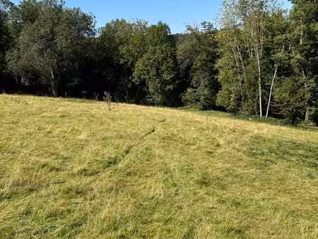 terrain boisé de 11000m² à esneux