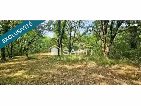 terrain 2222 m² vegennes
