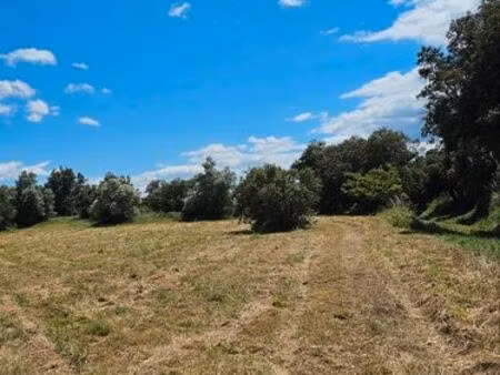 location de parcelle de jardin – cultivez votre propre potager ?