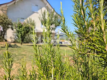 vente maison 7 pièces 158 m² belley (01300)