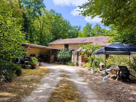 campagne perigourdine  maison en pierre + gite sur 8000 m2