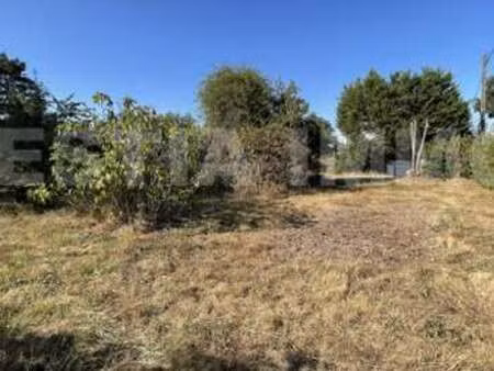 vente terrain à sucé-sur-erdre (44240) : à vendre / sucé-sur-erdre