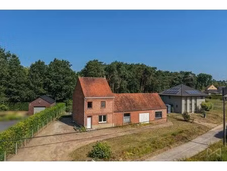 maison à vendre à molenheidestraat 38 langdorp (rbw60968)