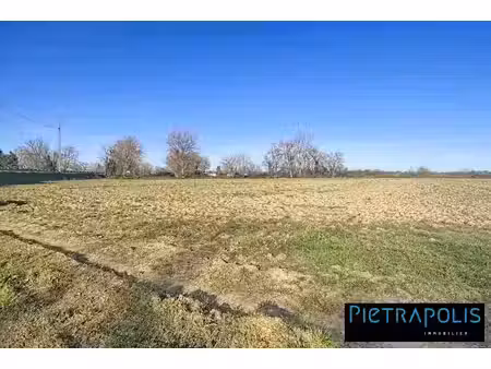 vente terrain à batir 801 m² à saint-georges-de-reneins (69830)  100 000 €