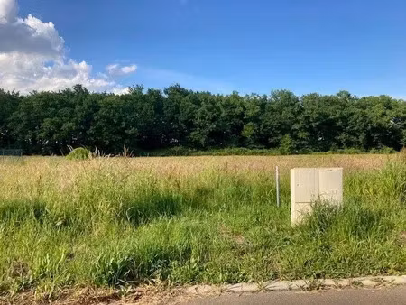vente terrain 678 m² à cazères-sur-l'adour (40270)  34 578 €