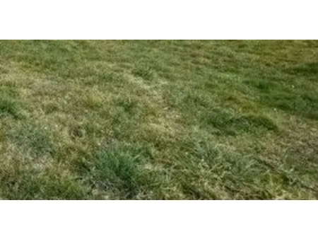 vente terrain à batir 1129 m² à bichancourt (02300)  24 000 €