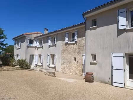 belle maison de village rénovée avec jardin et jolie vue