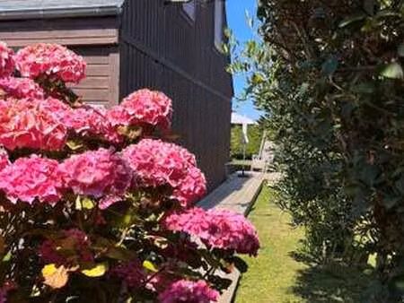 vente maison à asnelles (14960) : à vendre / 140m² asnelles