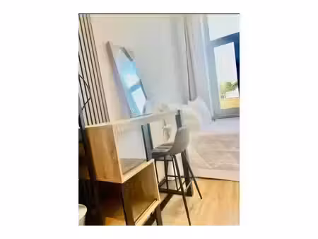 immeuble mixte à louer à rue de veeweyde anderlecht (vbe52182)